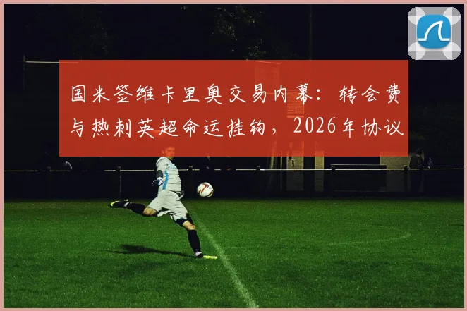 国米签维卡里奥交易内幕:转会费与热刺英超命运挂钩,2026年协议解读