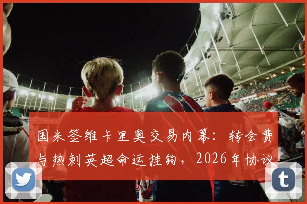 国米签维卡里奥交易内幕：转会费与热刺英超命运挂钩，2026年协议解读